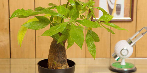 20160404111412-image003