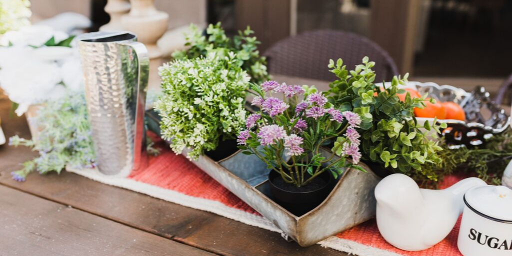 4-tac-dung-than-ky-cua-cay-xanh-trong-nha-den-suc-khoe