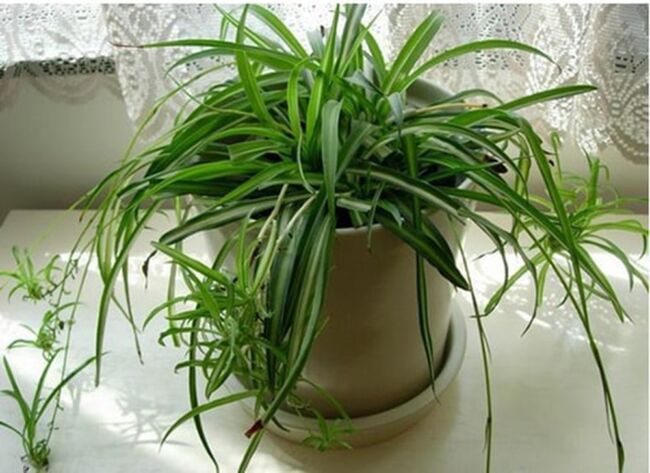 71b4fcc00286ebd8b297