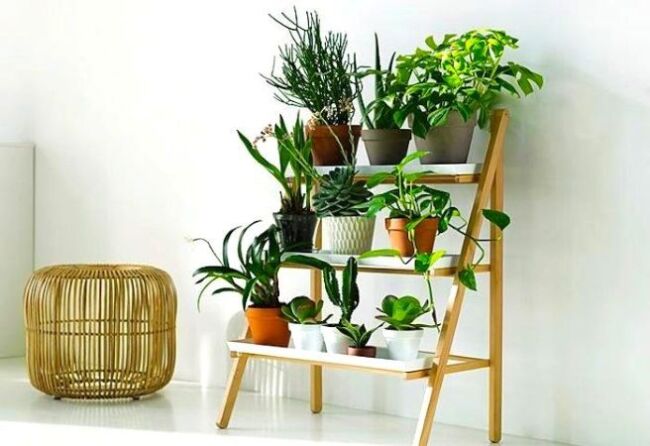 3ee32623b37def83ba43d171adaabd17