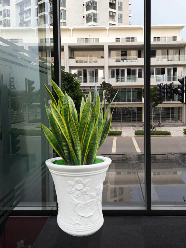 cung-cap-cay-luoi-ho