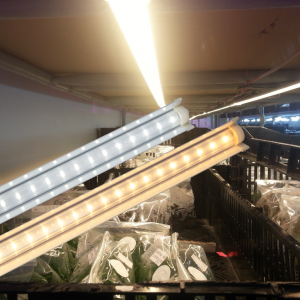 LED-NCM02-600- 10W LED-NCM02-600- 10W