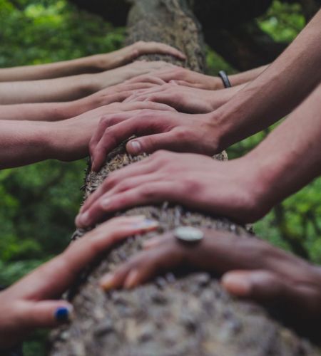 shane-rounce-DNkoNXQti3c-unsplash shane-rounce-DNkoNXQti3c-unsplash